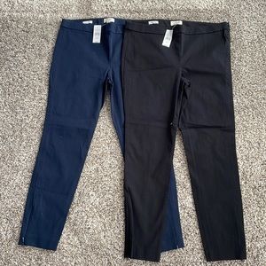 NWT loft size 12 modern skinny pants